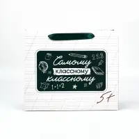 Подарочный пакет с открыткой &laquo;Классному классному&raquo;, 23 &times; 27 &times; 11,5 см