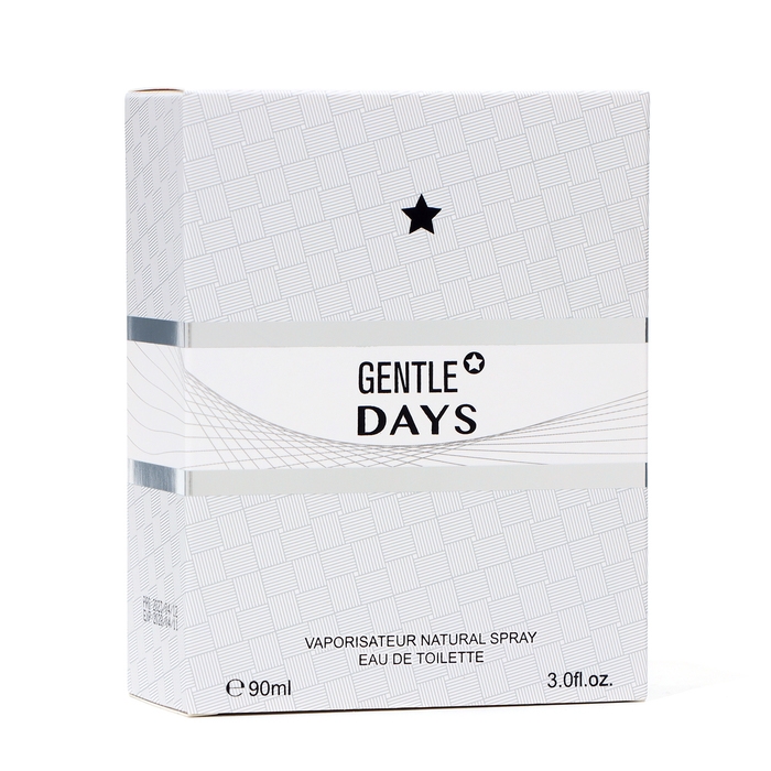 Туалетная вода мужская Gentle Days, 90 мл Туалетная вода мужская Gentle Days, 90 мл