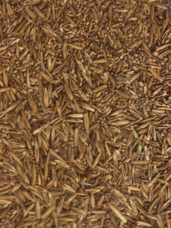 Газон Микс Газон Микс "Мой Выбор" 3кг