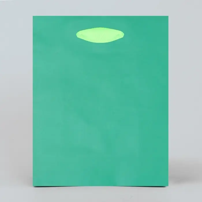 Пакет подарочный двухцветный, упаковка, «Зеленый-салатовый», S 12 х 15 х 5.5 см