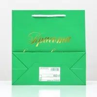 Пакет подарочный «Красота вдохновляет», зелёный, с тиснением, 22.5×23×10 см