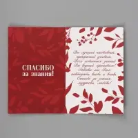 Подарочный набор &laquo;Учитель&raquo;, пакет и открытка, ML 27 &times; 23 &times; 11,5 см