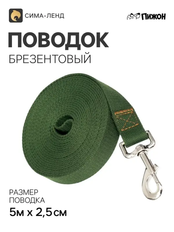 Поводок брезентовый, 5 м &times; 2.5 см, тёмно-зелёный