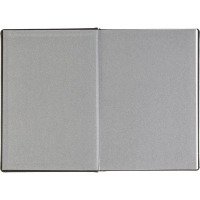 Ежедневник датированный 2026 А5+ VELVET черный 3-123/04