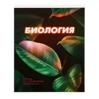 Набор предметных тетрадей Calligrata. 3D, 10 предметов, 48 листов, со справочным материалом, обложка из мелованного картона