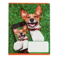 Комплект тетрадей из 10 штук, 12 листов в косую линию Calligrata "СелфиDOG", обложка мелованная бумага, ВД-лак, блок №2, белизна 75% (серые листы), 5 видов по 2 штуки