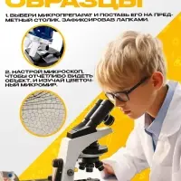 Набор для опытов &laquo;Набор микропрепаратов&raquo;, насекомые