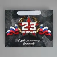 Пакет подарочный ламинированный, упаковка, &laquo;23 февраля&raquo;, MS 23&times;18&times;10 см