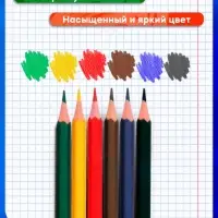 Карандаши Calligrata, цветные, 6 цветов, эконом, шестигранные, пластиковые