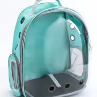Рюкзак для переноски животных прозрачный, 31 х 28 х 42 см, бирюзовый Рюкзак для переноски животных прозрачный, 31 х 28 х 42 см, бирюзовый