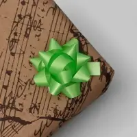 Бант - звезда №3.5, фасовка 8 шт., МИКС Бант - звезда №3.5, фасовка 8 шт., МИКС