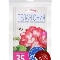 Набор семян Пеларгония &laquo;Пинто Скарлет Стар&raquo;, F1, 3 шт.