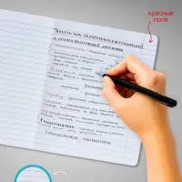 Комплект тетрадей из 10 штук, 12 листов в линию Calligrata &laquo;Котята&raquo;, обложка мелованный картон, ВД-лак, блок офсет, белизна 95%, 5 видов по 2 штуки