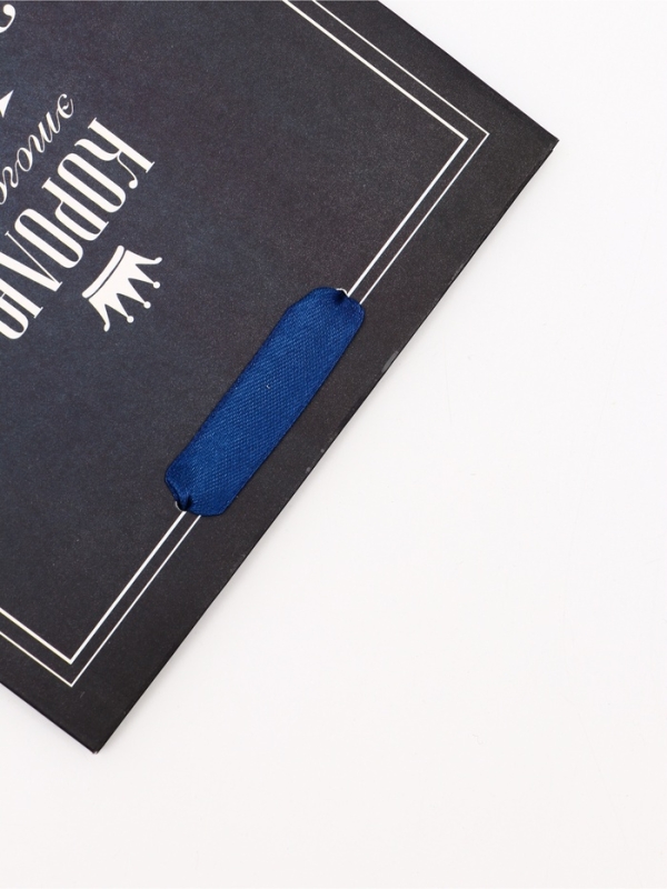 Пакет подарочный вертикальный "Королю этого дня", 18 х 23 х10 см