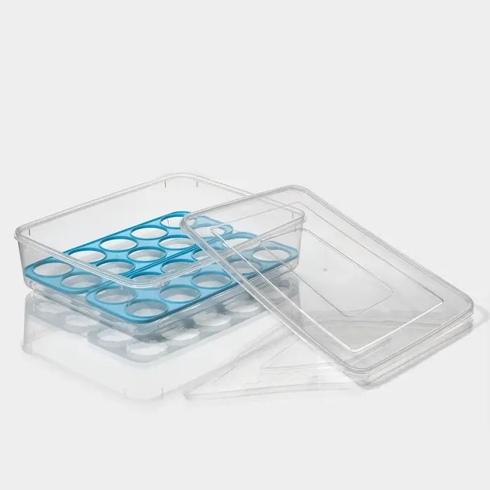 Контейнер для хранения яиц Доляна, 20 ячеек, 27.5&times;22&times;7 см, пластик, прозрачный, голубой