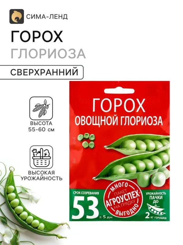 Семена Горох &laquo;Глориоза&raquo;, сахарный, 40 г, &laquo;Агроуспех&raquo;