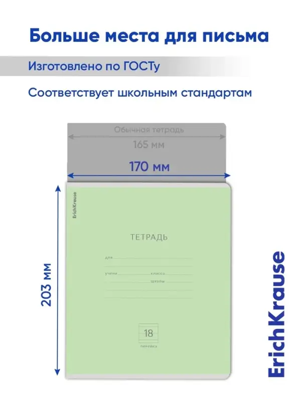 Тетрадь 18 листов в линейку, ErichKrause &laquo;Классика&raquo;, обложка мелованный картон, зелёная