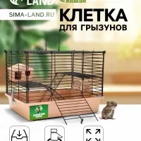 Клетка для грызунов &laquo;Пижон&raquo;, 38&times;27&times;27 см, складная, домик, миска, колесо, бежевая