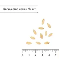 Семена Огурец &laquo;Хрустик&raquo; F1, корнишон, скороспелый, партенокарпический, 10 шт., &laquo;Гавриш&raquo;