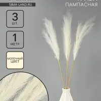 Сухоцветы искусственные &laquo;Пампасная трава&raquo;, 1 метр, 3 шт., молочный