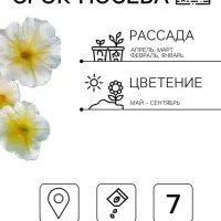 Семена цветов Петуния &laquo;Береника&raquo; F1, многоцветковая, гранулы, пробирка, 7 шт.