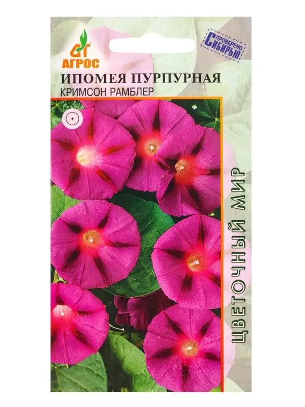 Семена Ипомея пурпурная Семена Ипомея пурпурная "Кримсон Рамблер" 1 г