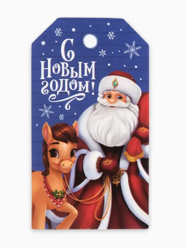 Шильдик декоративный в наборе «С Новым годом!», 9 х 5 см