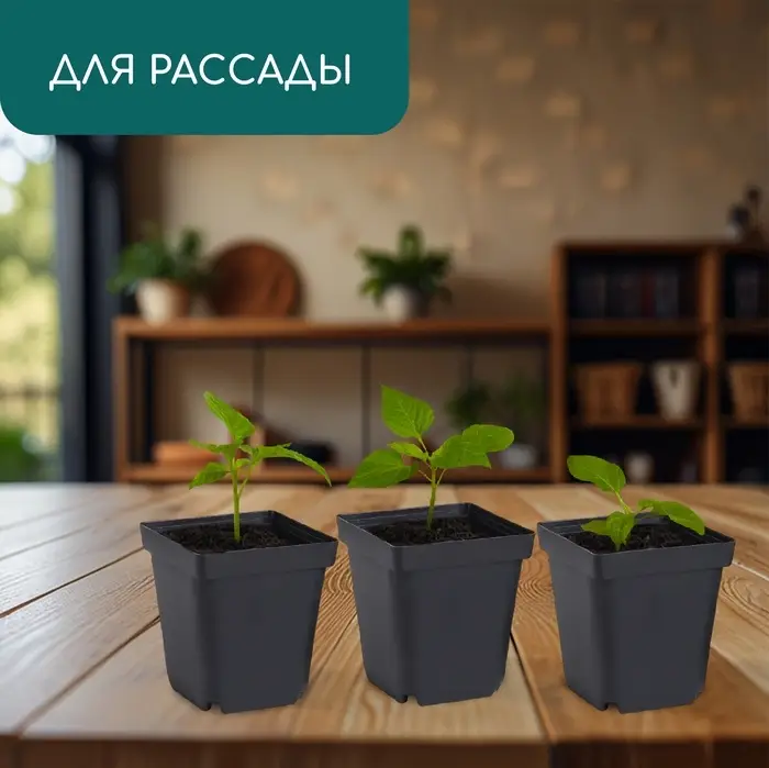 Горшок для рассады, 700 мл, d=10 см, h=12.5 см, пластик, чёрный, Greengo Горшок для рассады, 700 мл, d=10 см, h=12.5 см, пластик, чёрный, Greengo