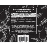 Свеча Сочное манго 200 мл, SSB200-4