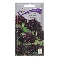 Семена цветов Гвоздика "Турецкая Нигриканс", 0,3гр. Семена цветов Гвоздика "Турецкая Нигриканс", 0,3гр.