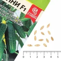 Семена Огурец &laquo;Конни&raquo;, F1, 5 шт., &laquo;Семена Алтая&raquo;