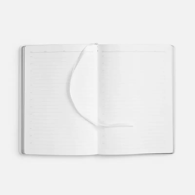 Ежедневник Nebraska Flex, недатированный, белый с серебристым Ежедневник Nebraska Flex, недатированный, белый с серебристым