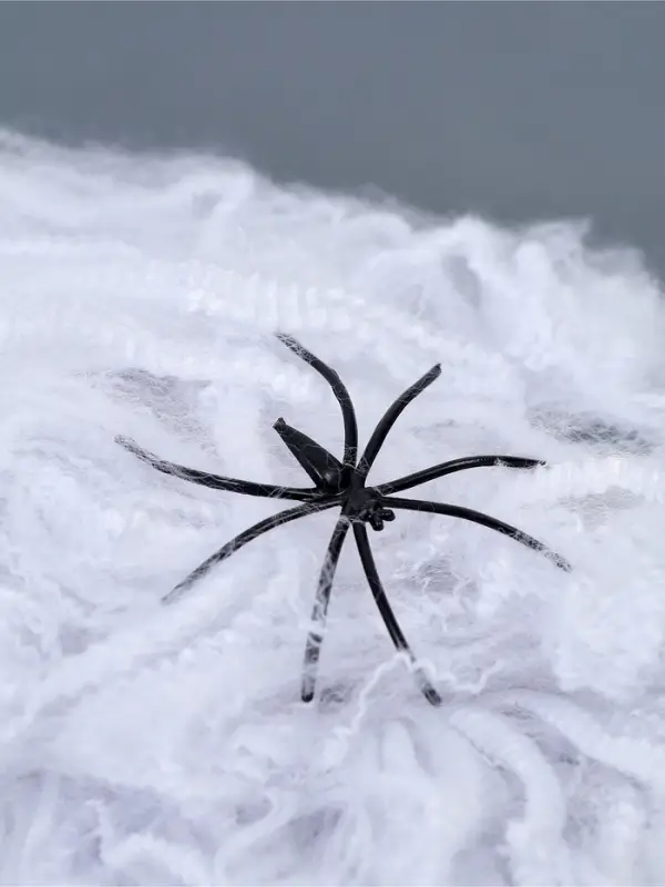 Прикол &laquo;Паутина и 2 паука&raquo;