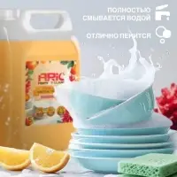 Средство для мытья посуды ARIC &laquo;Имбирный цитрус&raquo;, гель, безопасный состав, 5 л