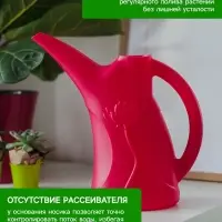 Лейка, 2 л, без рассеивателя, МИКС, &laquo;Лотос&raquo;