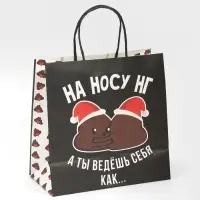 Пакет подарочный новогодний &laquo;На носу НГ&raquo;, 22&times;22&times;11 см