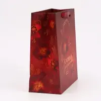 Набор подарочных пакетов &laquo;Весны в душе&raquo;, 27 &times; 23 &times; 11,5 см