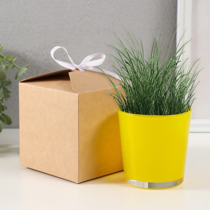 Набор для выращивания растений Набор для выращивания растений "Вырасти травку" желтый