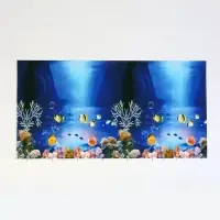 Фон для аквариума двухсторонний, 40&times;75 см