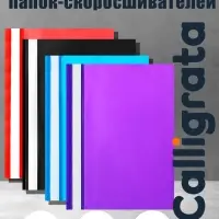 Набор папок-скоросшивателей Calligrata, А4, 120 мкм, с прозрачным верхом, 10 штук, микс