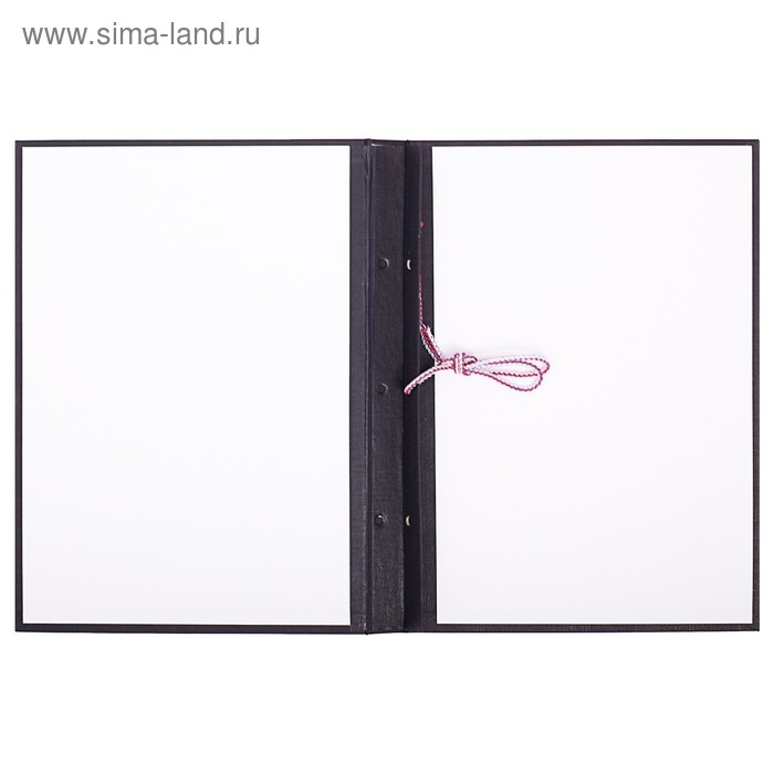 Папка для дипломных работ (Без надписи), бумвинил, гребешки/сутаж, без бумаги, цвет черный (вместимость до 300 листов) Папка для дипломных работ (Без надписи), бумвинил, гребешки/сутаж, без бумаги, цвет черный (вместимость до 300 листов)