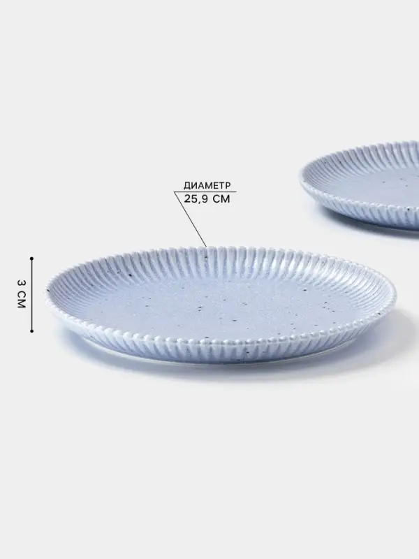 Тарелки Доляна &laquo;Коралл&raquo;, d=25.9 см, набор 2 шт., фарфор, голубые