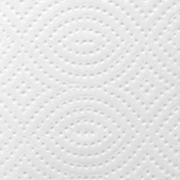 Полотенца бумажные д/дисп. Luscan Professional Vслож 2сл белцел200л15пач/уп