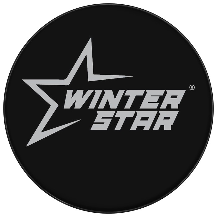 Шайба хоккейная Winter Star, взрослая, d=7,6 см Шайба хоккейная Winter Star, взрослая, d=7,6 см