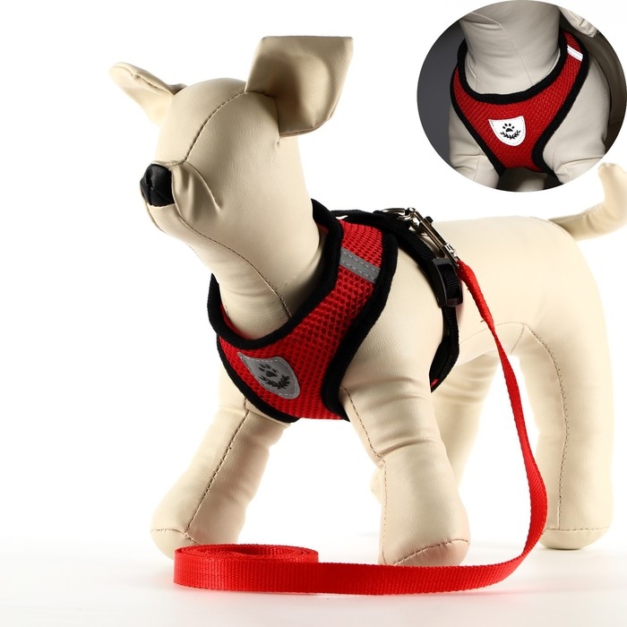 Комплект амуниции со светоотражающей нашивкой, S, ОШ 24 см, ОГ 28-33 см, красный Комплект амуниции со светоотражающей нашивкой, S, ОШ 24 см, ОГ 28-33 см, красный