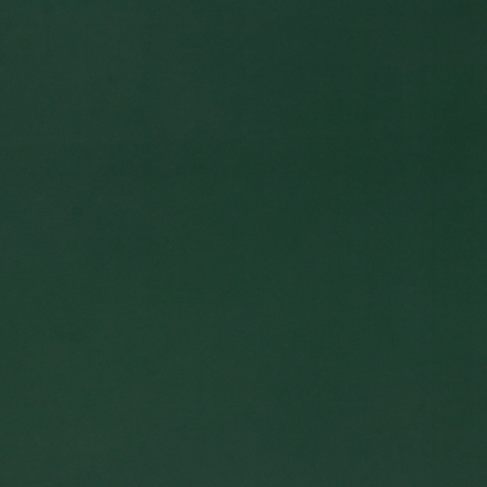 Пакет ламинированный «Зелёный», 18 х 23 х 10 см МИКС