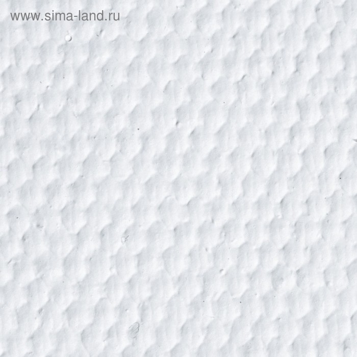 Холст на картоне 30 х 40 см, хлопок 100 %, 2.0 мм, акриловый грунт, среднезернистый BRAUBERG ART CLASSIC Холст на картоне 30 х 40 см, хлопок 100 %, 2.0 мм, акриловый грунт, среднезернистый BRAUBERG ART CLASSIC