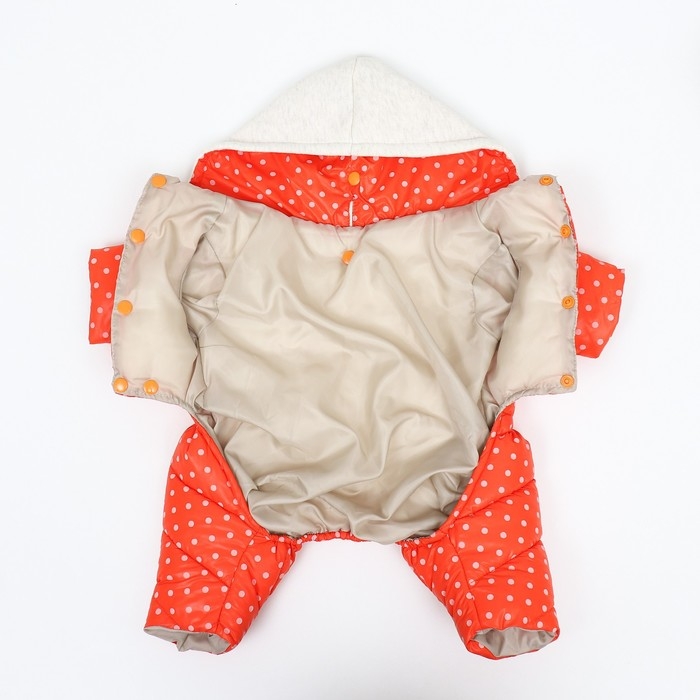 Комбинезон  Комбинезон "Для прогулки", размер 8 (ДС 19 см, ОГ 30, ОГ 22 см), оранжевый