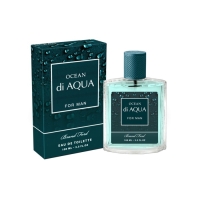 Туалетная вода мужская Ocean di Aqua, 100 мл (по мотивам Acqua Di Gio (G.Armani)