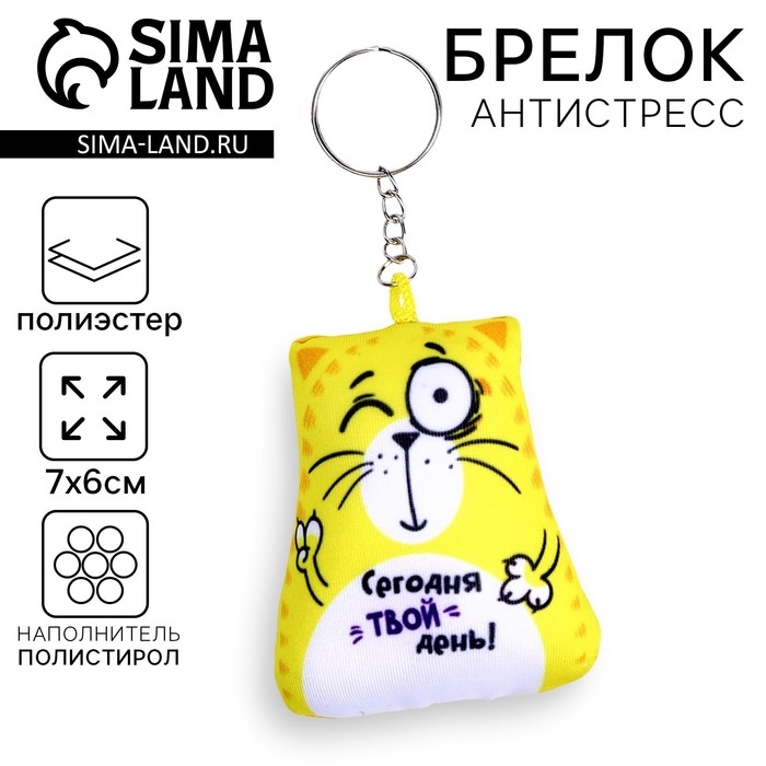 Брелок-антистресс &laquo;Сегодня твой день!&raquo;, кот, 6х7 см